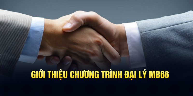 Giới thiệu chương trình đại lý MB66