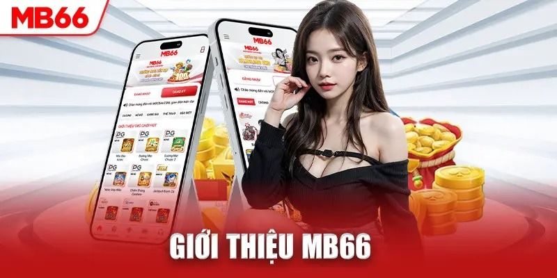 Giới thiệu MB66, thông tin cơ bản