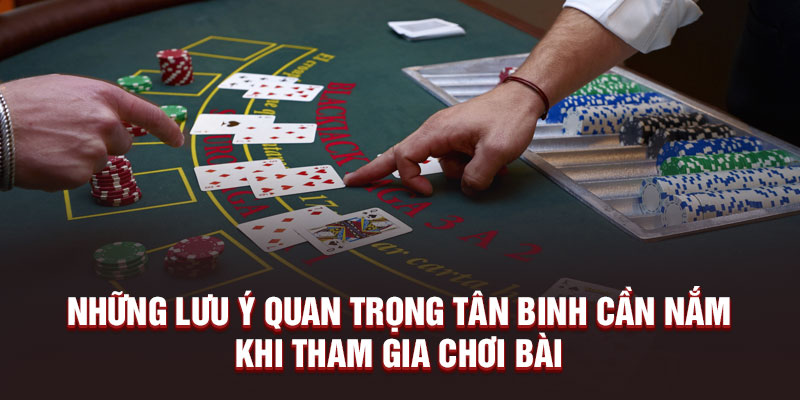 Những lưu ý quan trọng tân binh cần nắm khi tham gia chơi bài