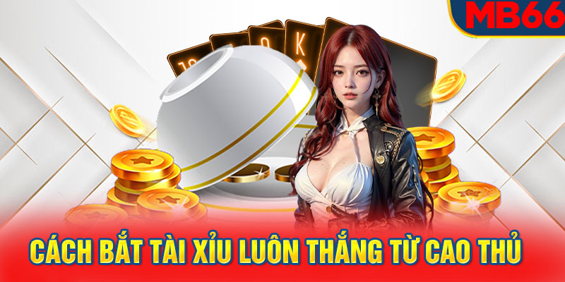 Cách bắt tài xỉu luôn thắng từ cao thủ  